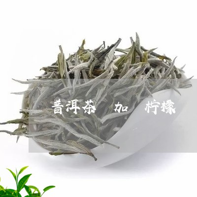 普洱茶 加 柠檬/2023031610815